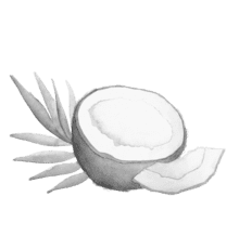 coconut-440x460